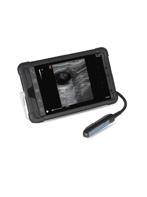 Ultrasonido veterinario portátil